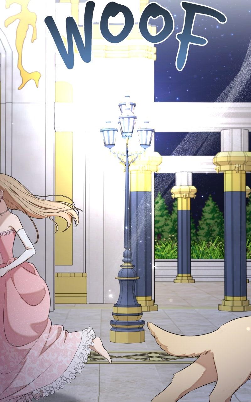 Mr. Delivery Knight Chap 27 - Next Chap 28