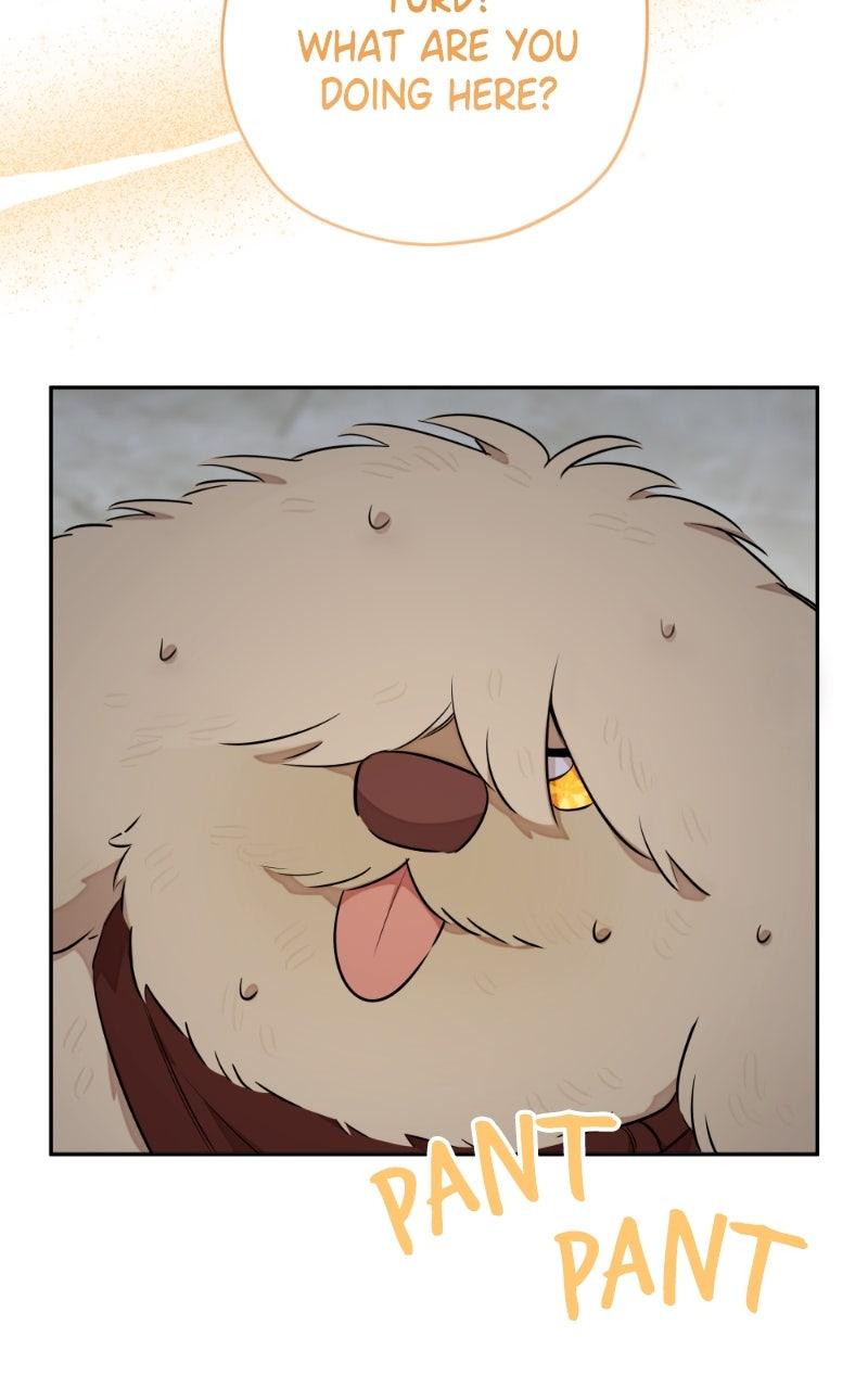 Mr. Delivery Knight Chap 26 - Next Chap 27