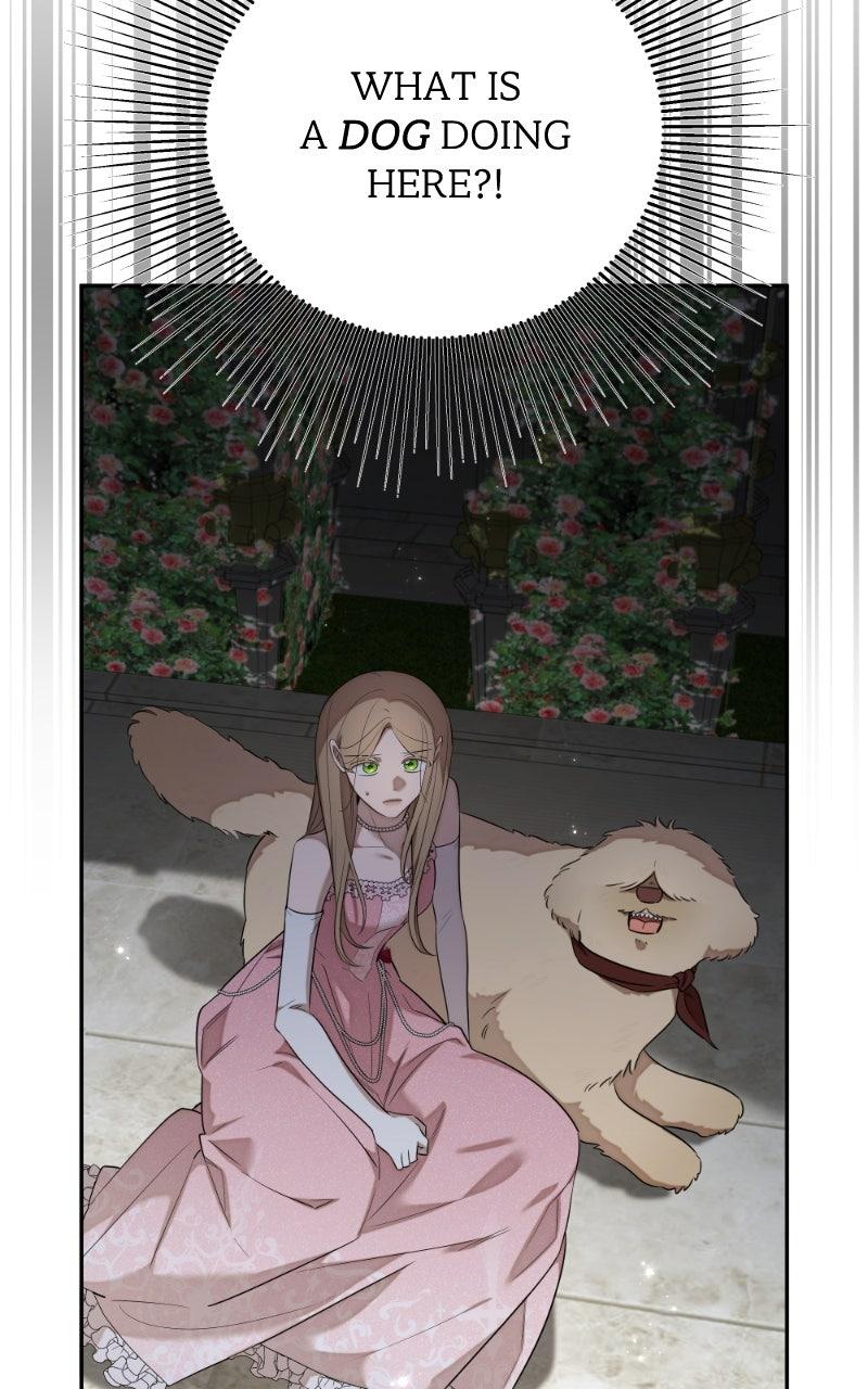 Mr. Delivery Knight Chap 26 - Next Chap 27