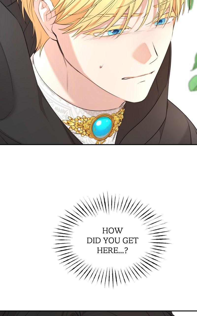 Mr. Delivery Knight Chap 35 - Next Chap 36