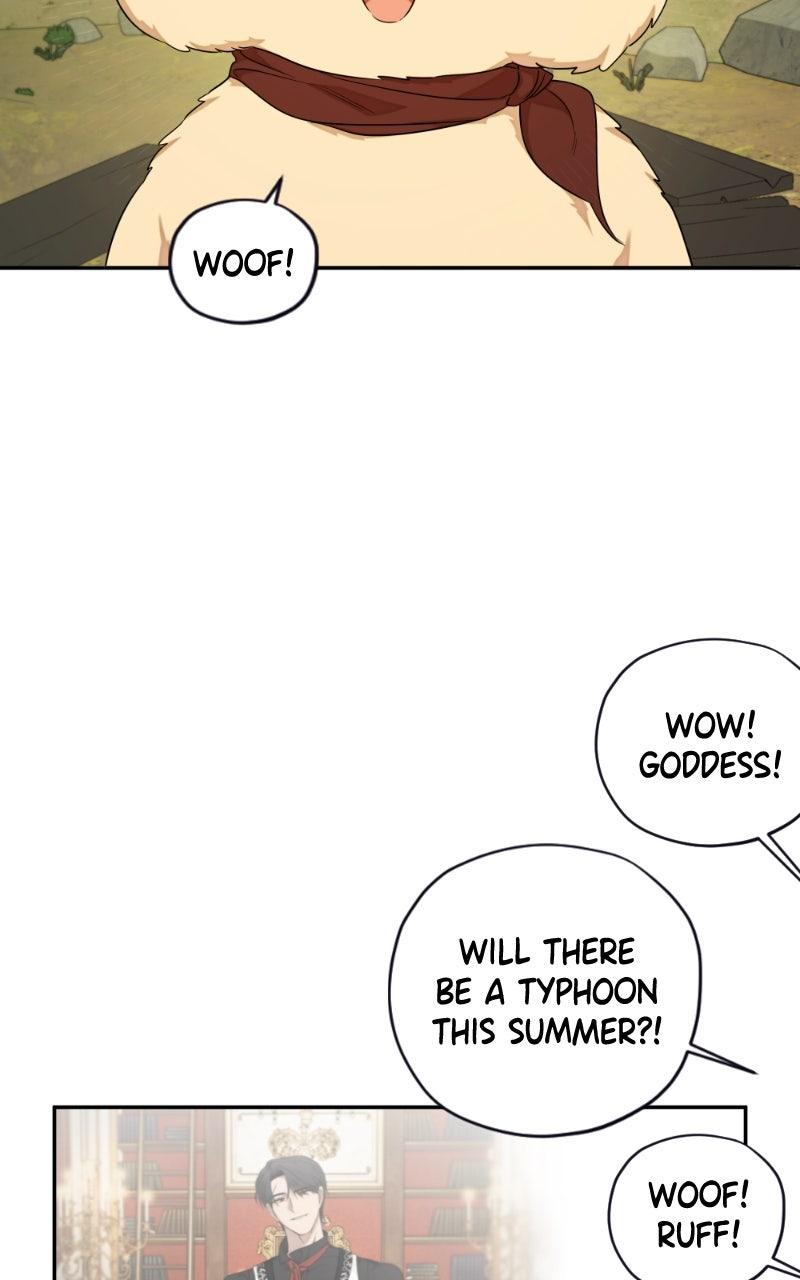 Mr. Delivery Knight Chap 36 - Next Chap 37