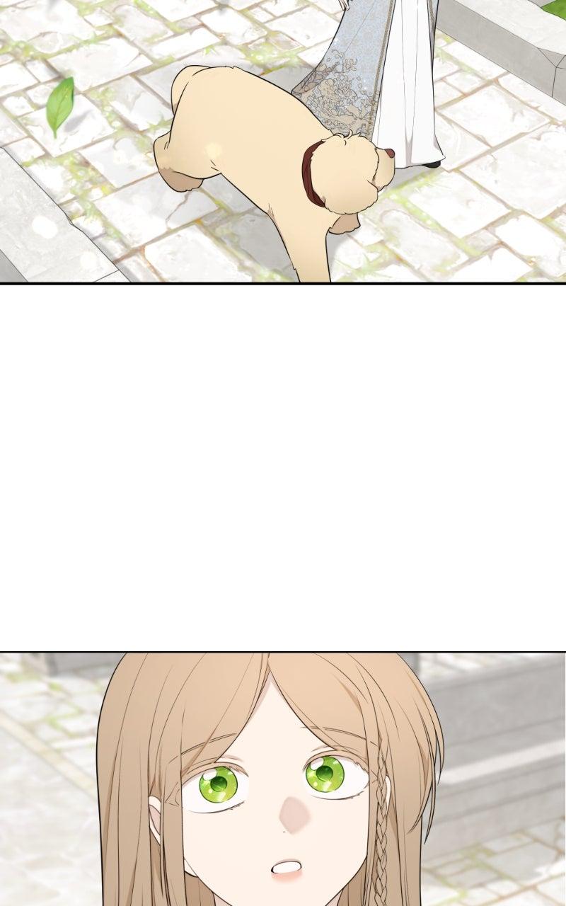 Mr. Delivery Knight Chap 30 - Next Chap 31