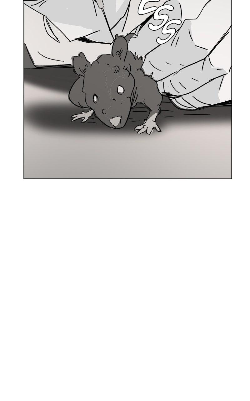 No Kids Zone Chap 42 - Next Chap 43