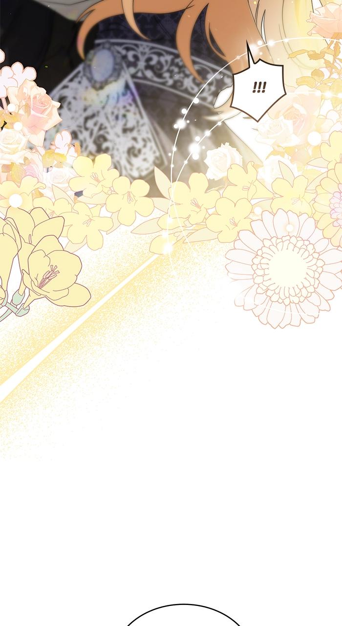 The Scent That Binds Us Chap 2 - Next Chap 3