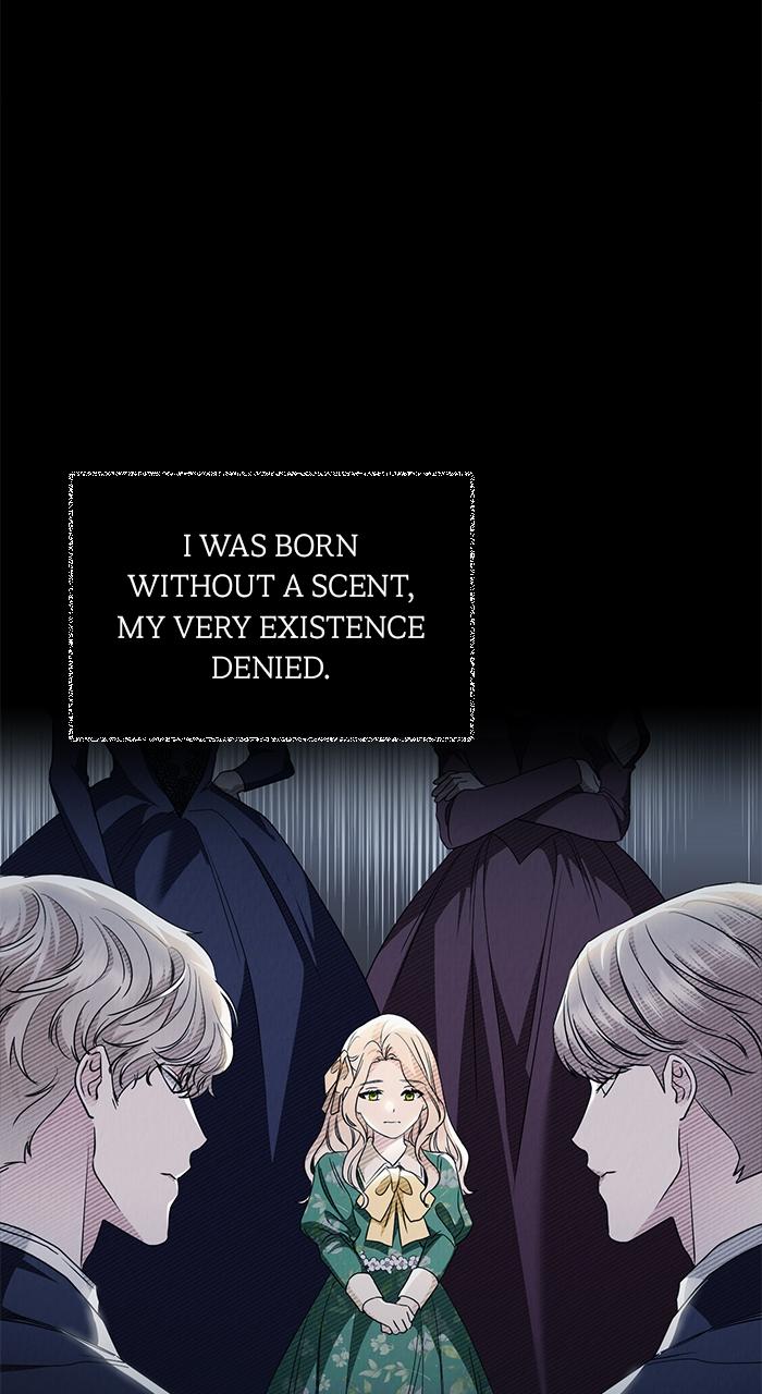 The Scent That Binds Us Chap 12 - Next Chap 13