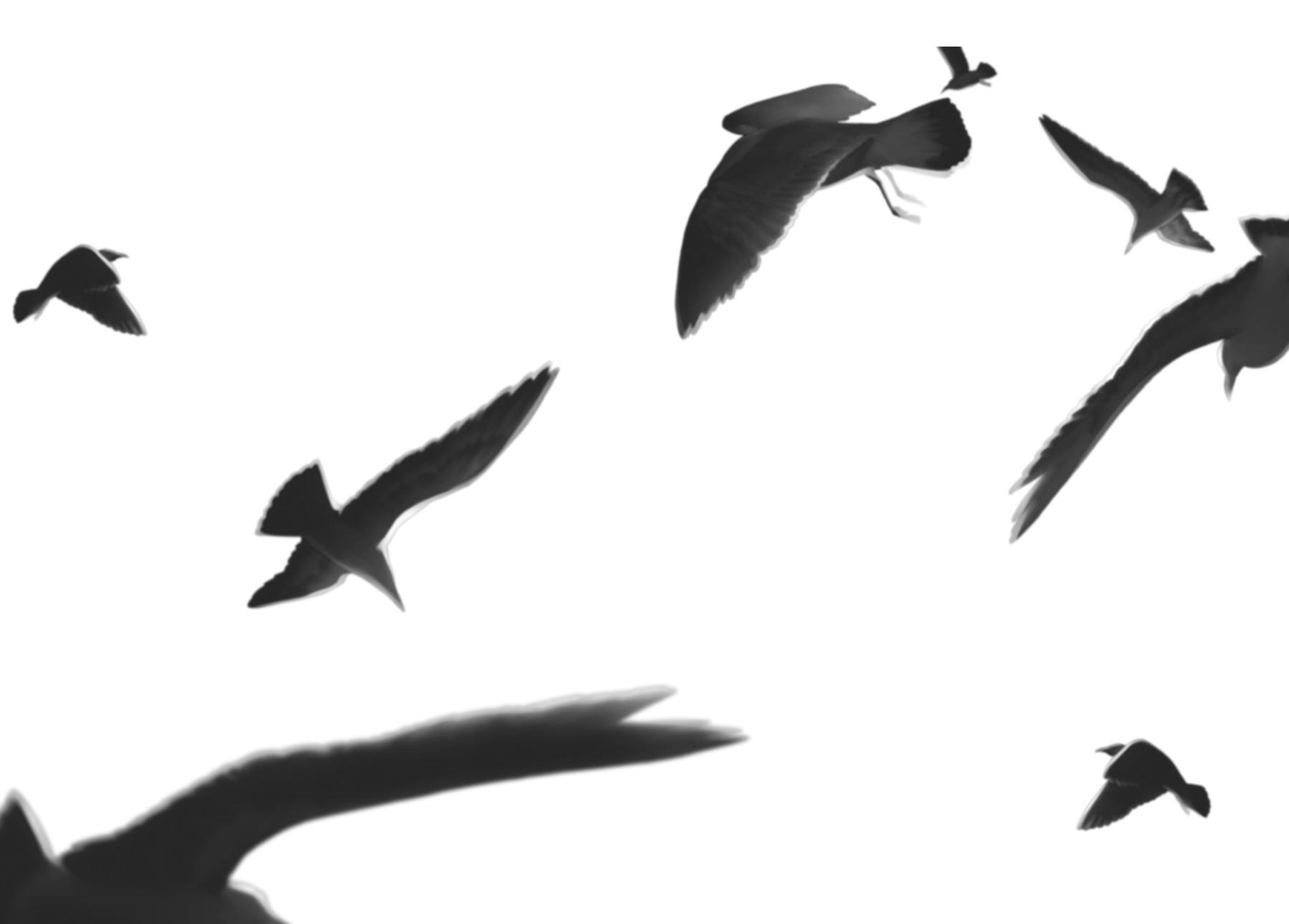 Idol Escape Chap 10 - Next Chap 11