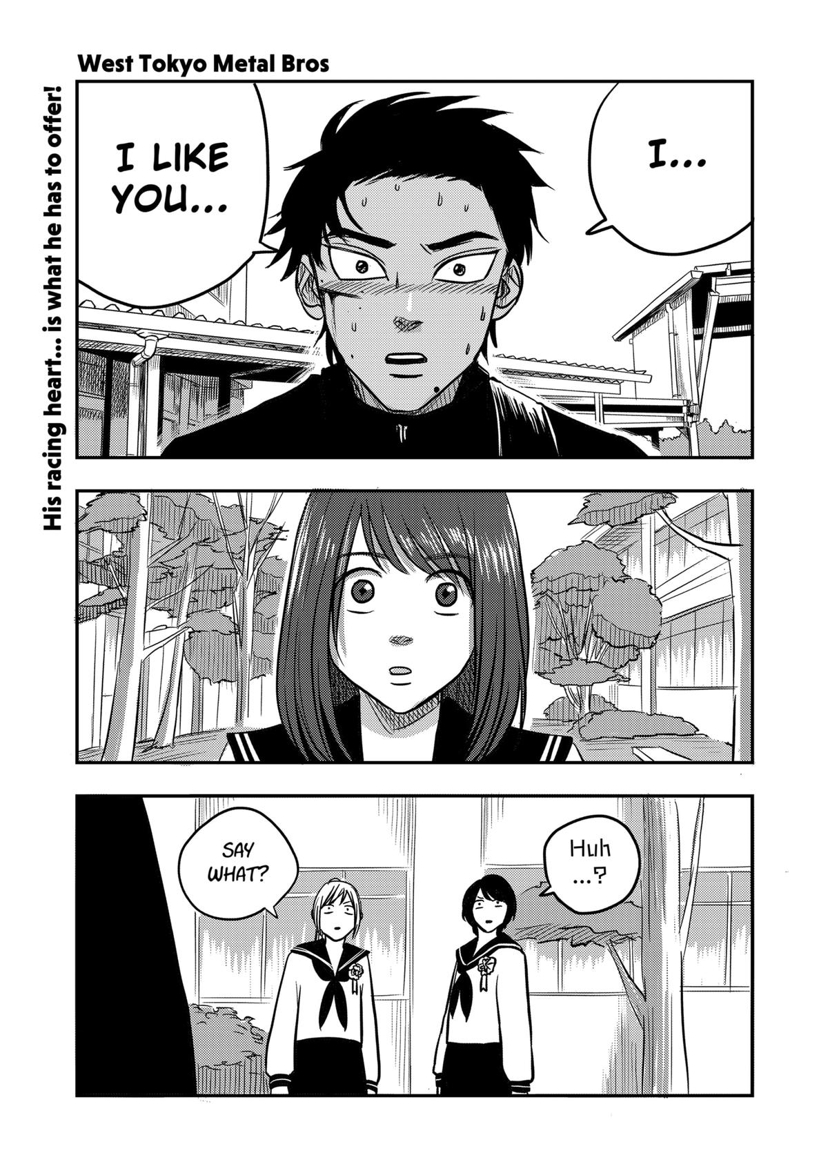 Nishi Tokyo Metal Brothers Chap 6 - Next Chap 7