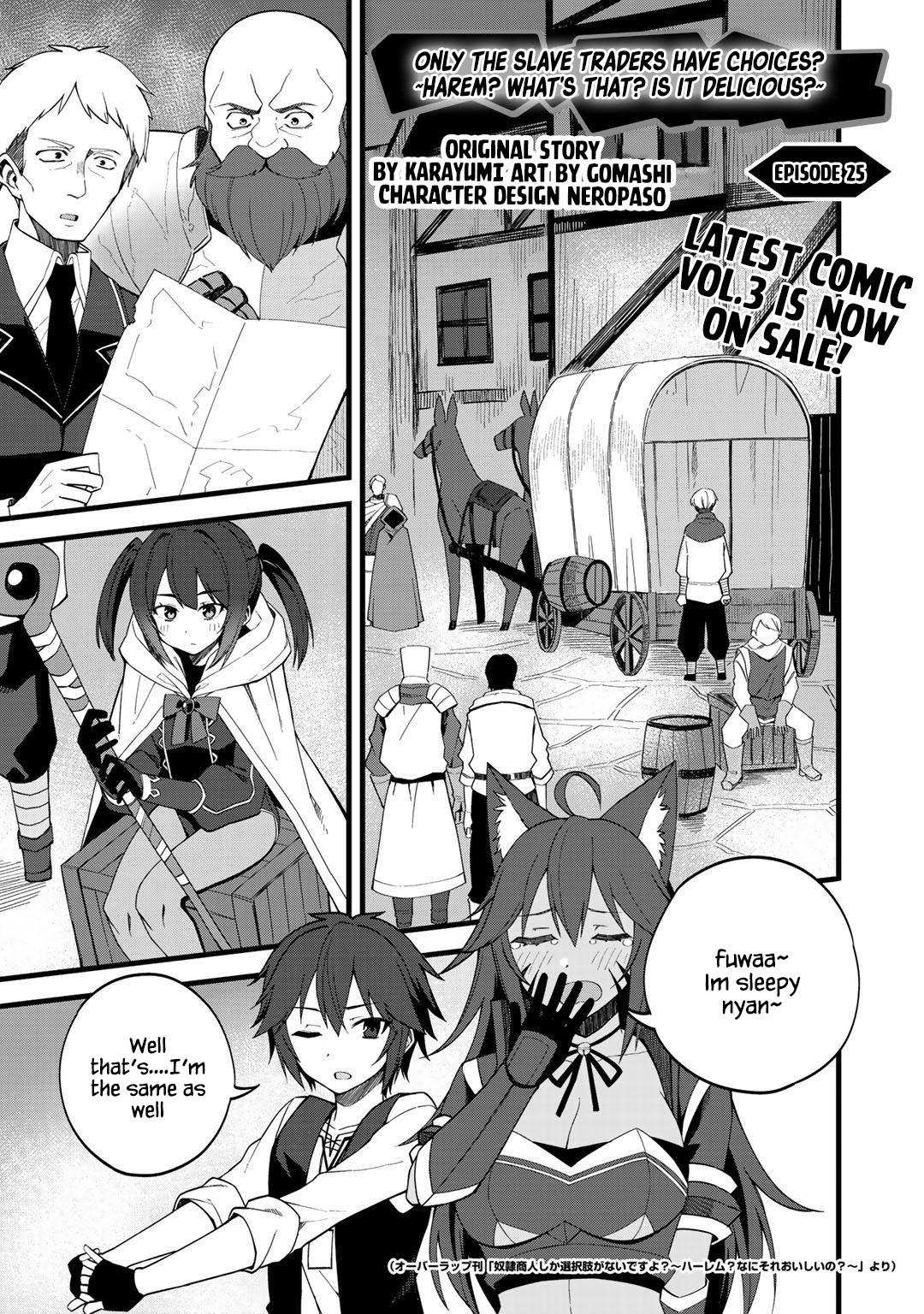 Dorei Shounin shika Sentakushi ga nai desu yo? Chap 25 - Next Chap 26