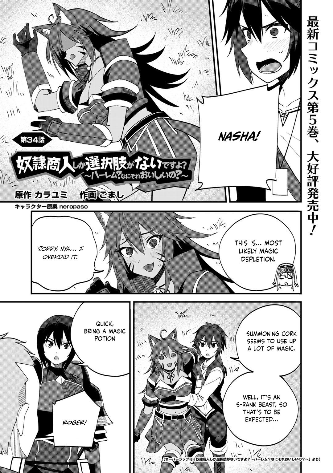 Dorei Shounin shika Sentakushi ga nai desu yo? Chap 34 - Next Chap 35