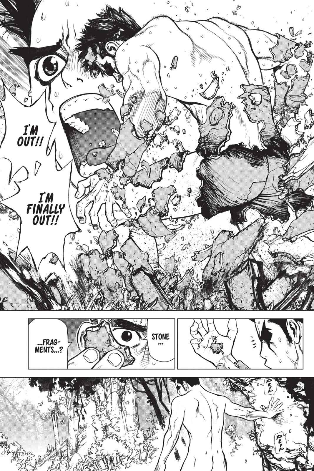 Dr. Stone Chap 1 - Next Chap 2