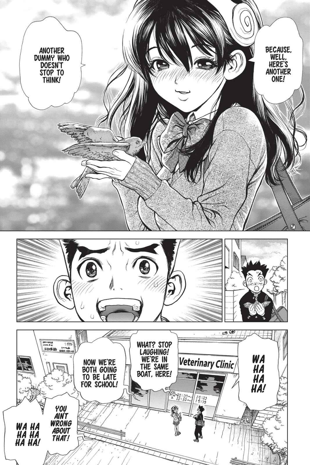 Dr. Stone Chap 1 - Next Chap 2