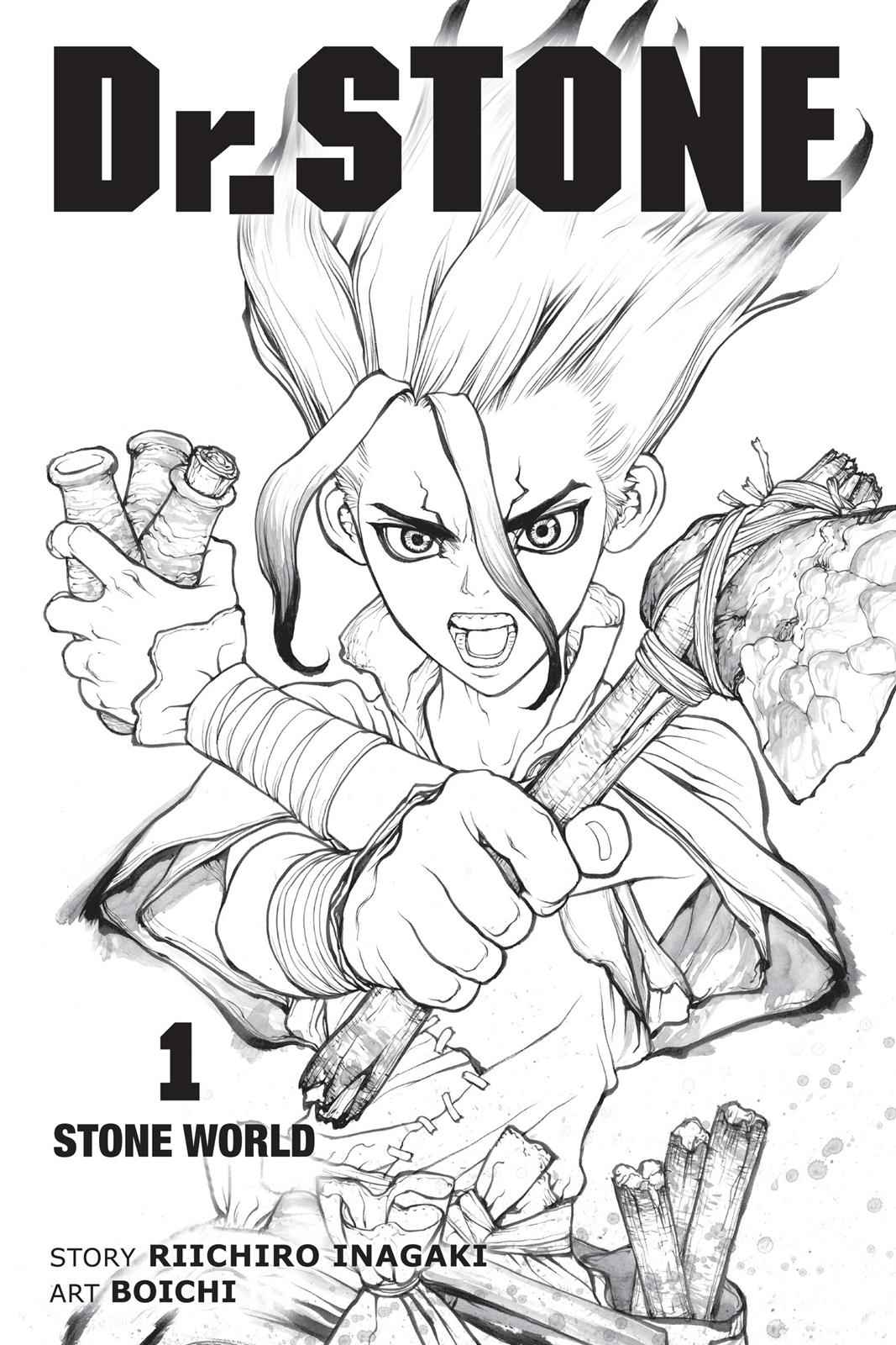 Dr. Stone Chap 1 - Next Chap 2