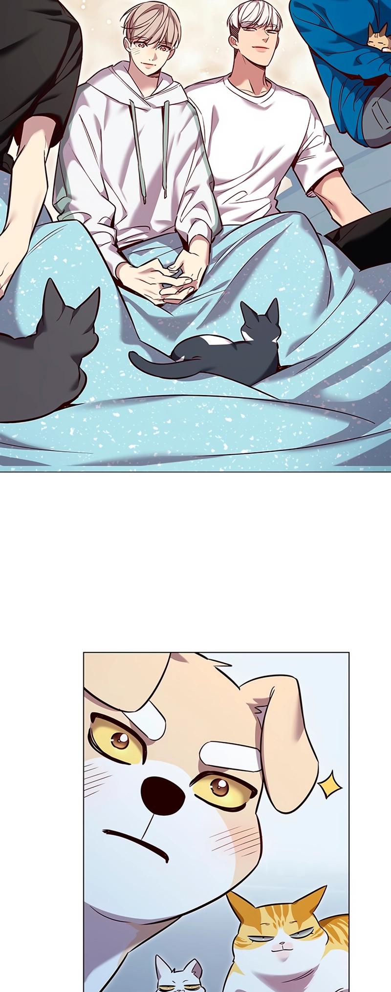 Eleceed Chap 345 - Next Chap 346
