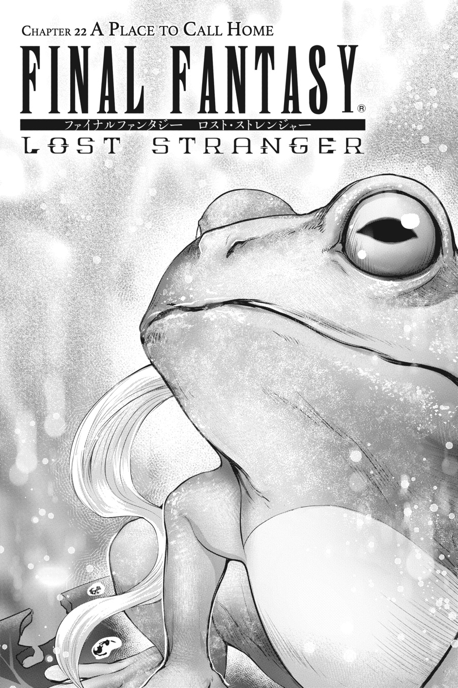 Final Fantasy: Lost Stranger Chap 22 - Next Chap 23