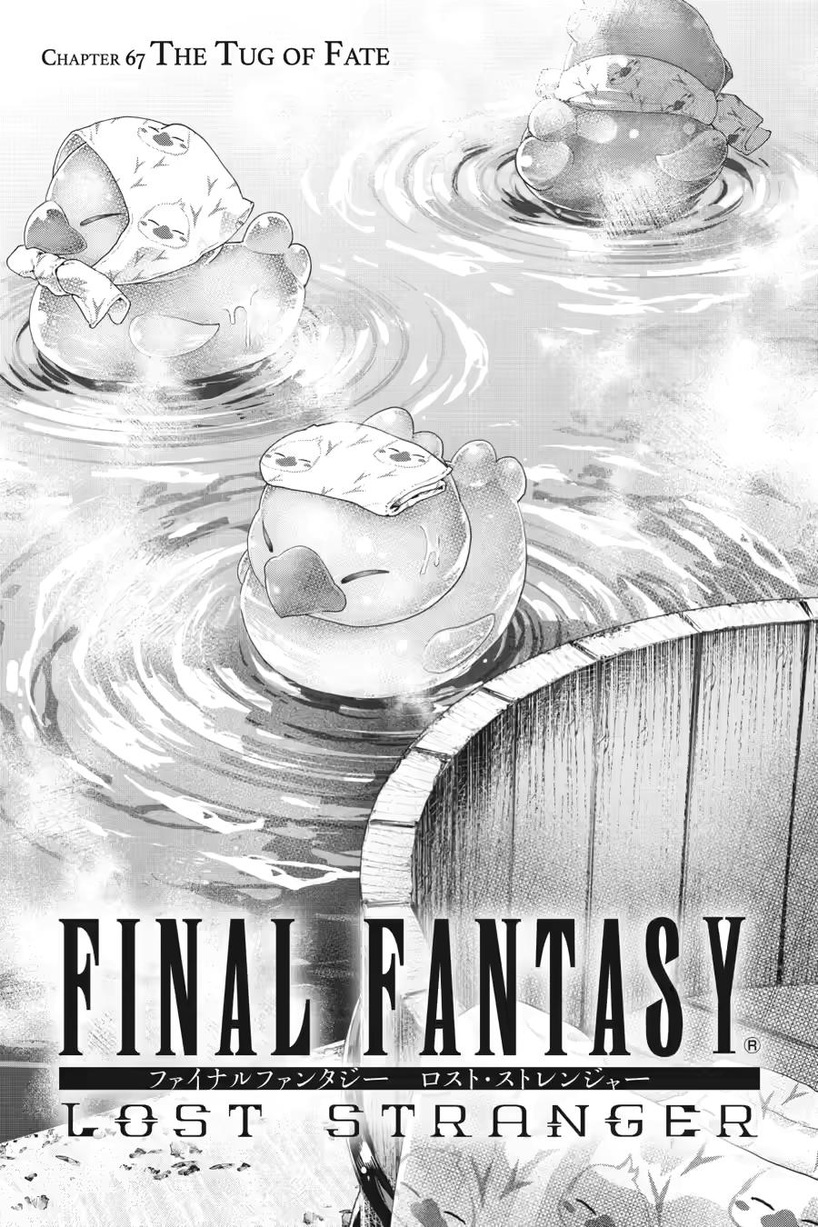 Final Fantasy: Lost Stranger Chap 67 - Next Chap 68