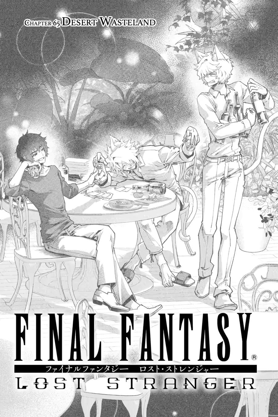 Final Fantasy: Lost Stranger Chap 65 - Next Chap 66