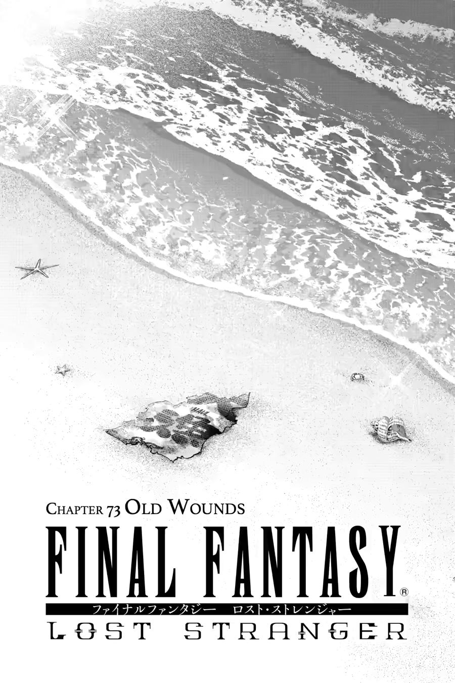 Final Fantasy: Lost Stranger Chap 73 - Next Chap 74