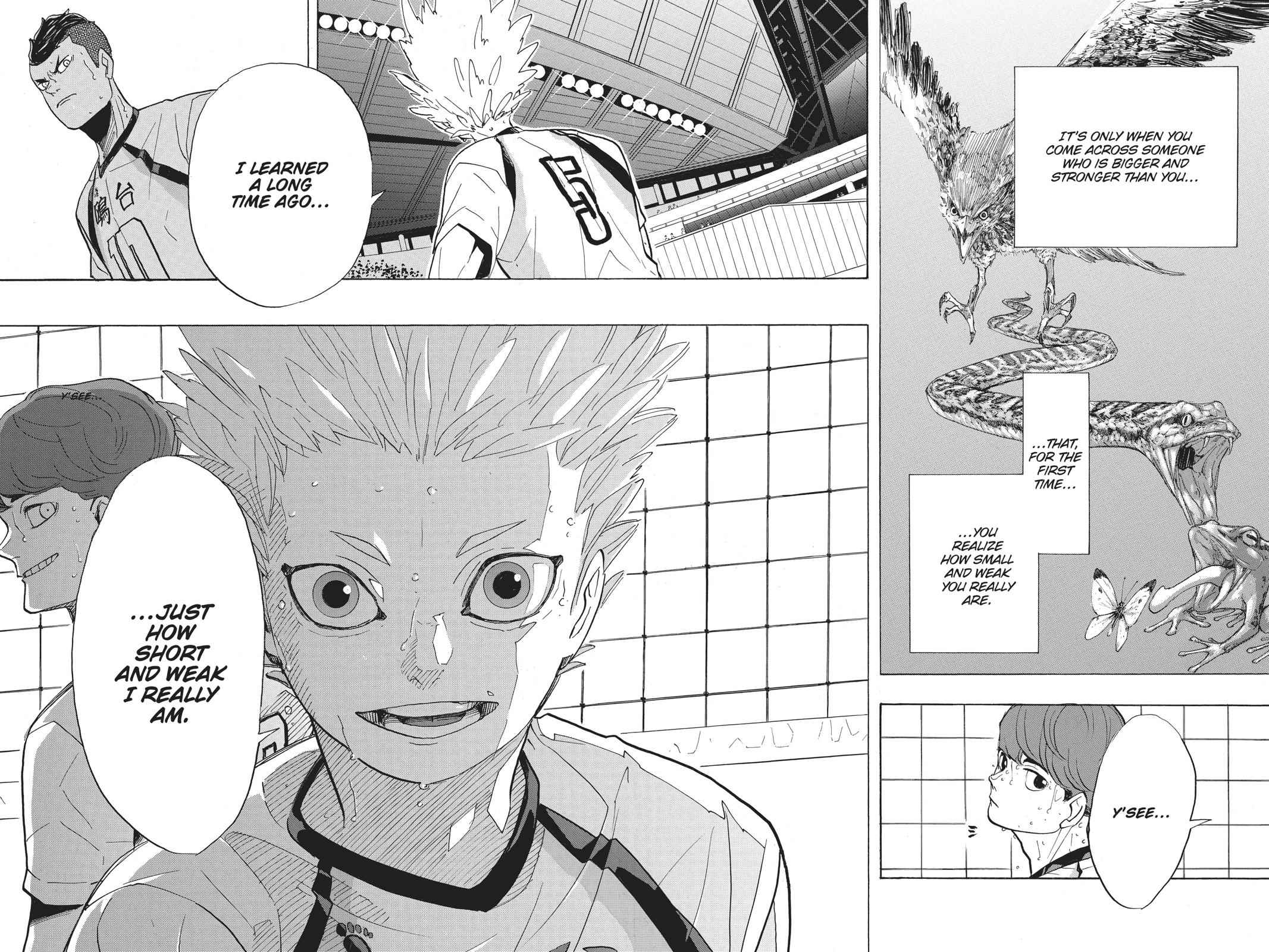 Haikyu!! Chap 343 - Next Chap 344