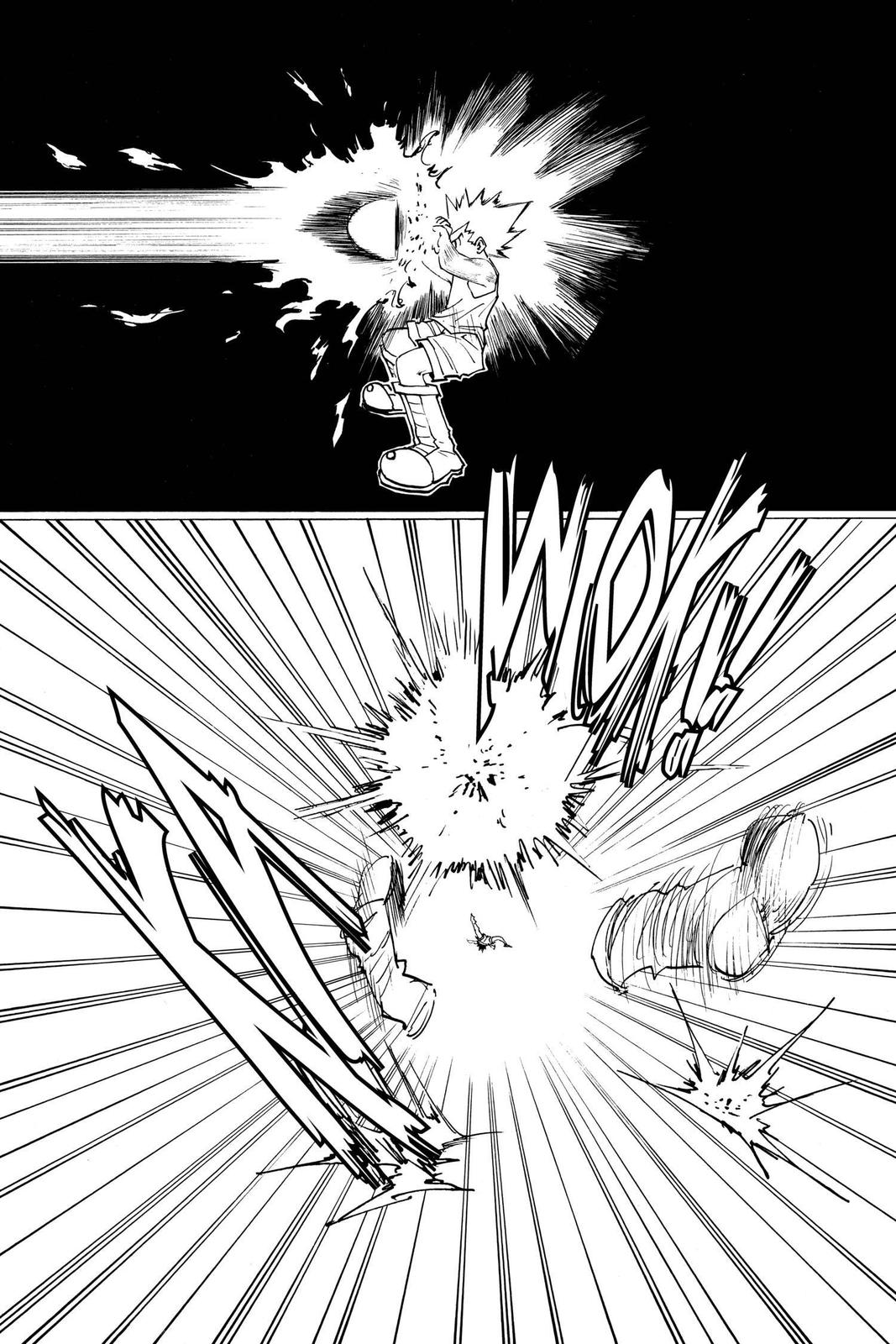 Hunter x Hunter Chap 163 - Next Chap 164