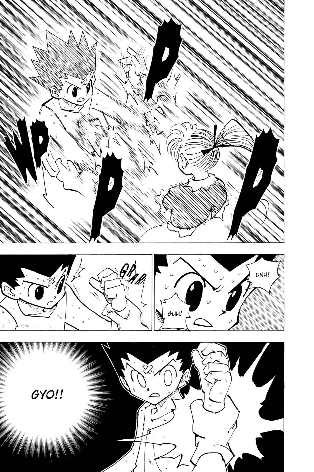 Hunter x Hunter Chap 171 - Next Chap 172