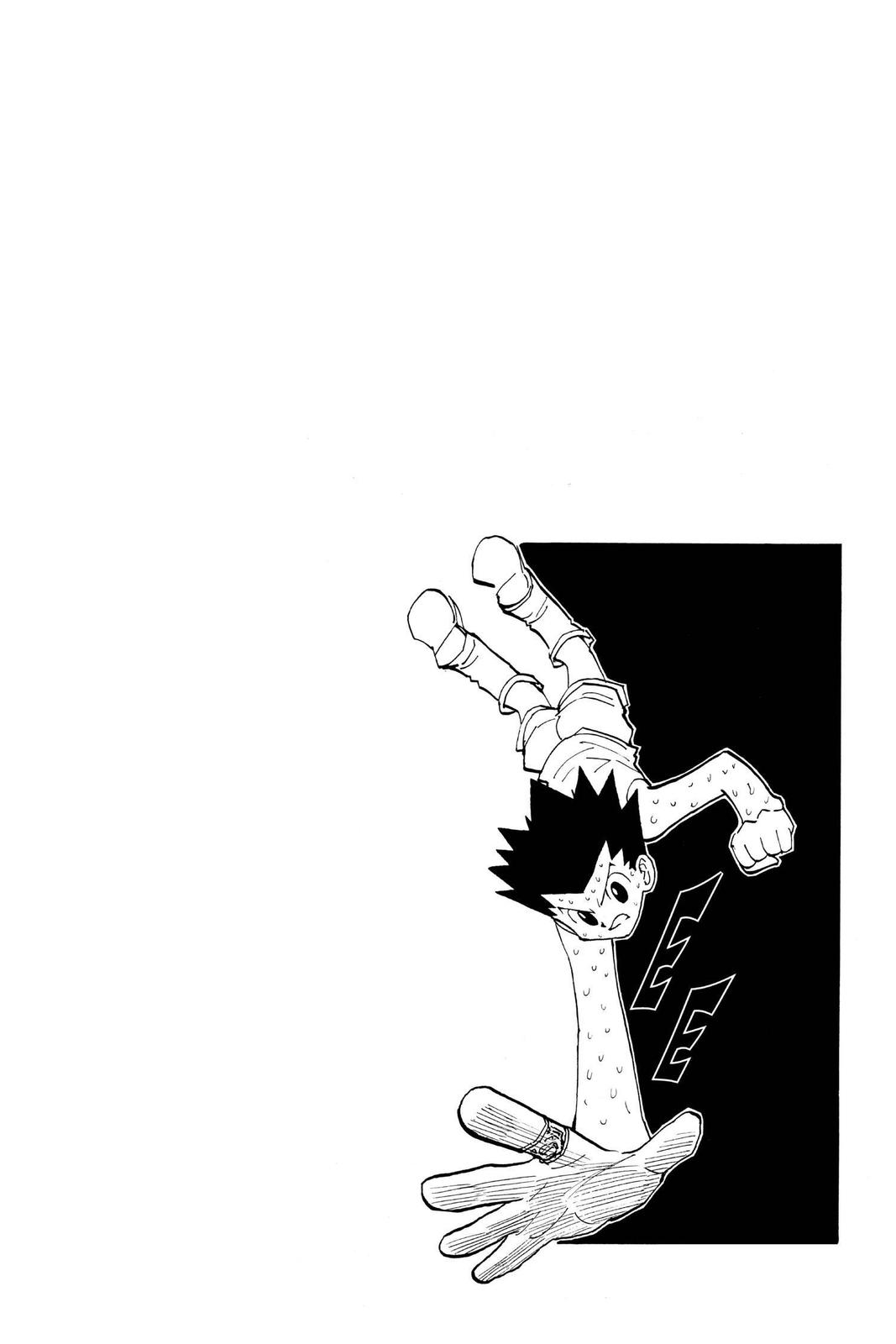 Hunter x Hunter Chap 173 - Next Chap 174