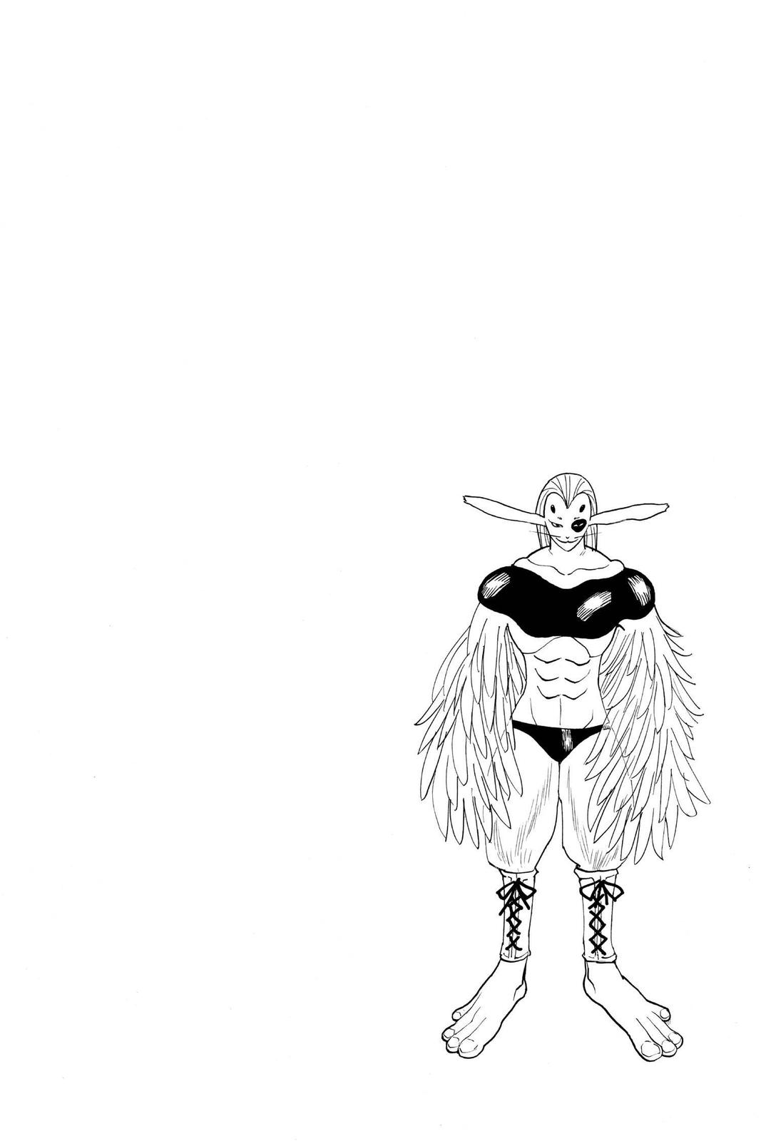 Hunter x Hunter Chap 191 - Next Chap 192