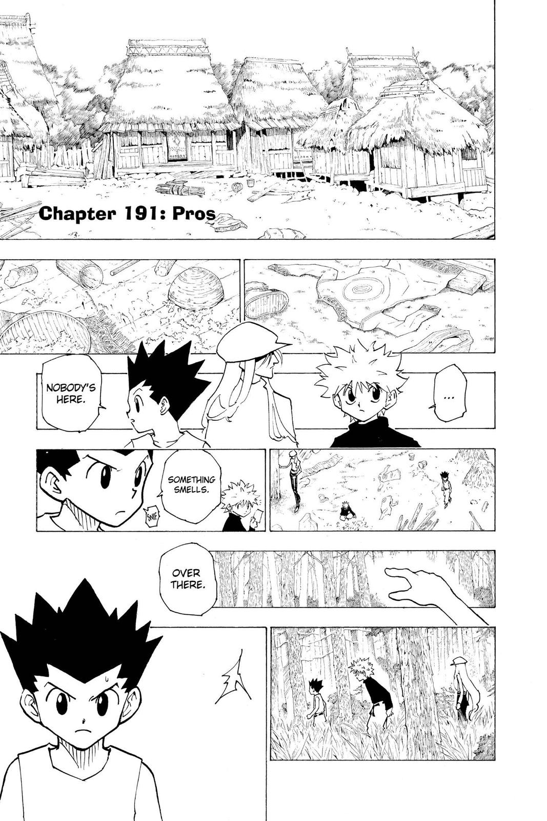 Hunter x Hunter Chap 191 - Next Chap 192