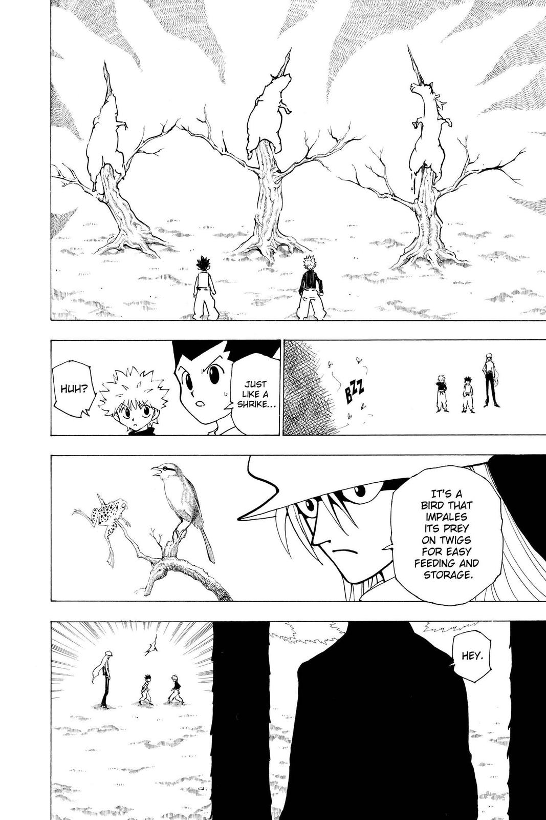 Hunter x Hunter Chap 191 - Next Chap 192
