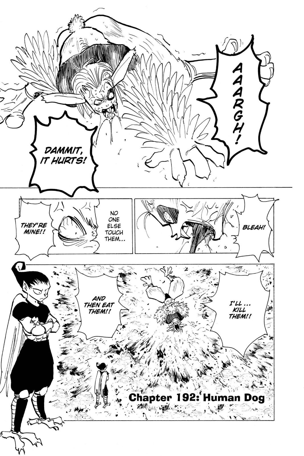 Hunter x Hunter Chap 192 - Next Chap 193