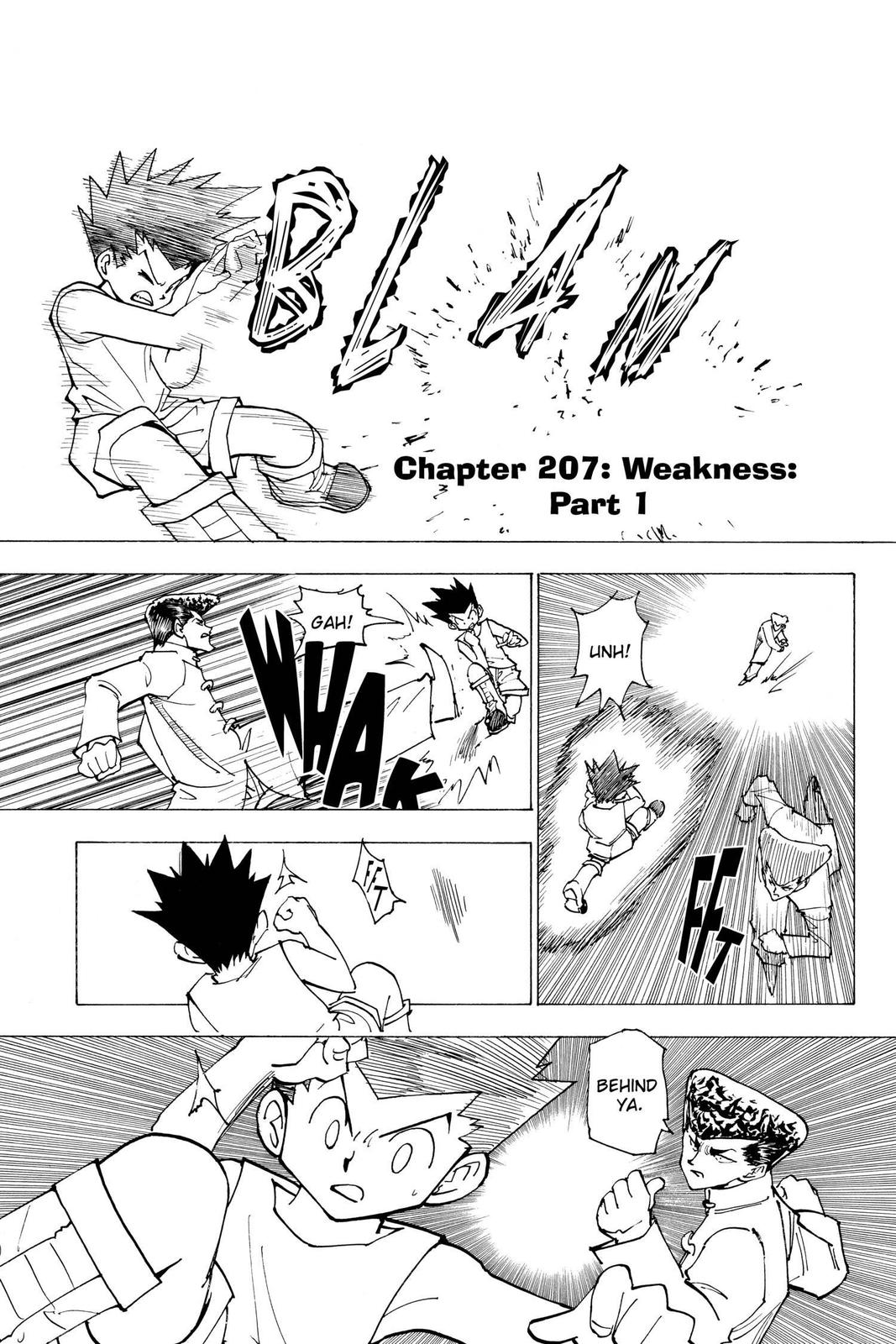 Hunter x Hunter Chap 207 - Next Chap 208