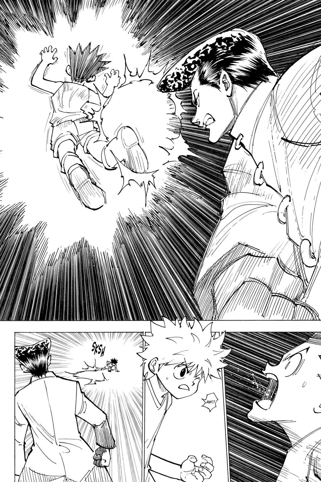 Hunter x Hunter Chap 207 - Next Chap 208