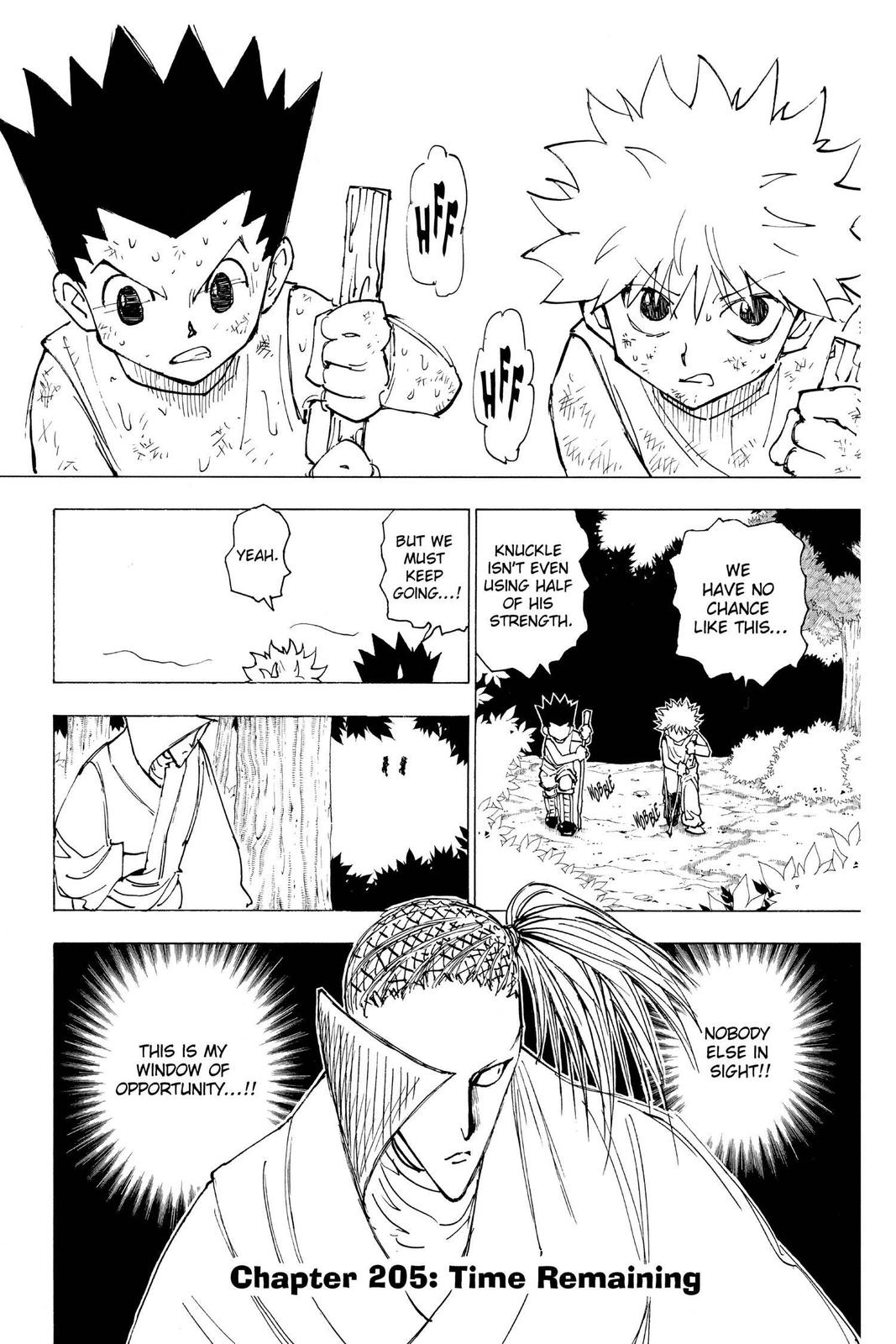Hunter x Hunter Chap 205 - Next Chap 206