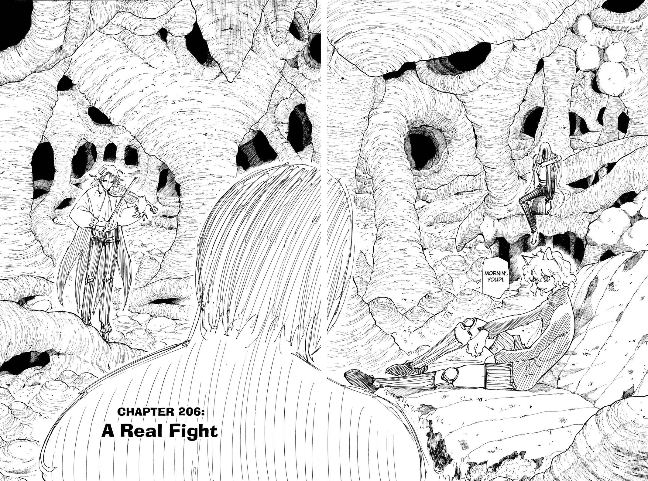Hunter x Hunter Chap 206 - Next Chap 207