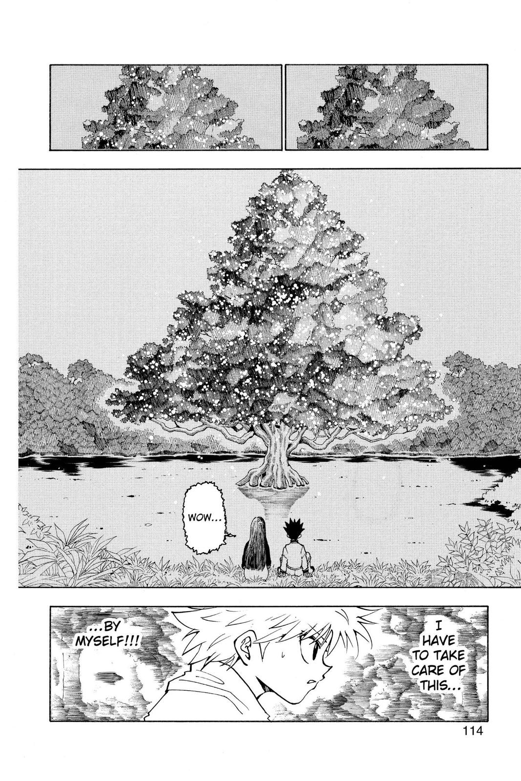Hunter x Hunter Chap 218 - Next Chap 219