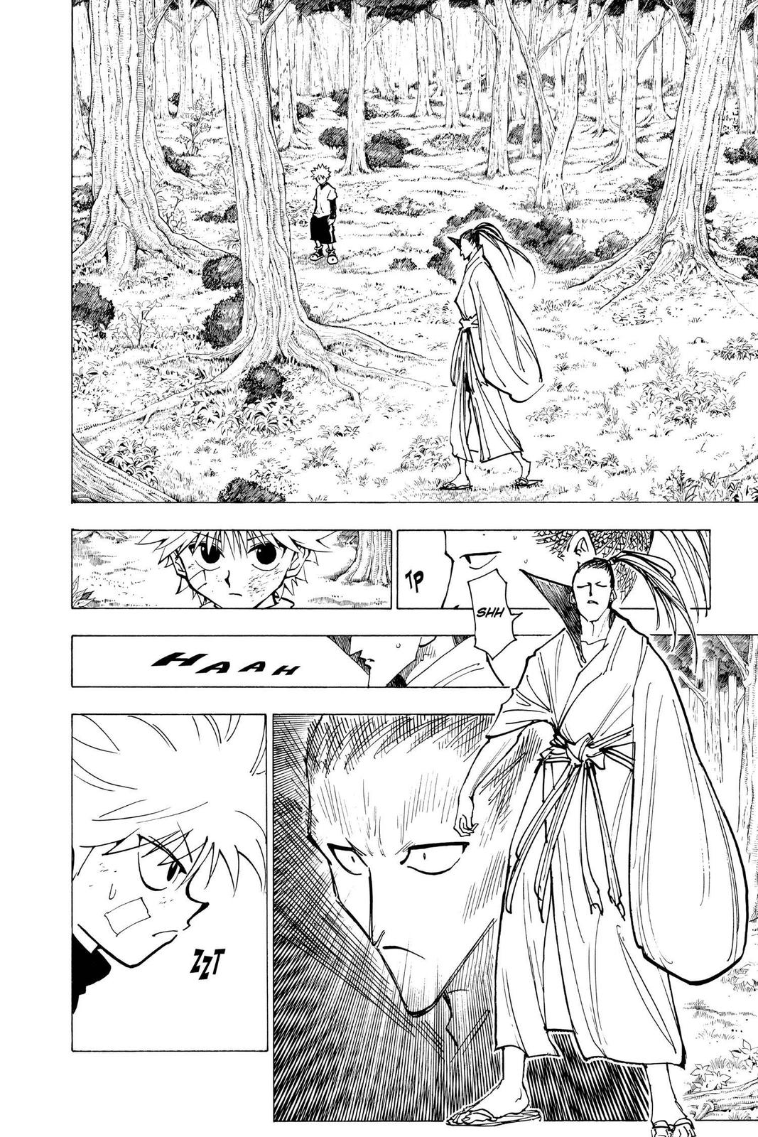 Hunter x Hunter Chap 211 - Next Chap 212