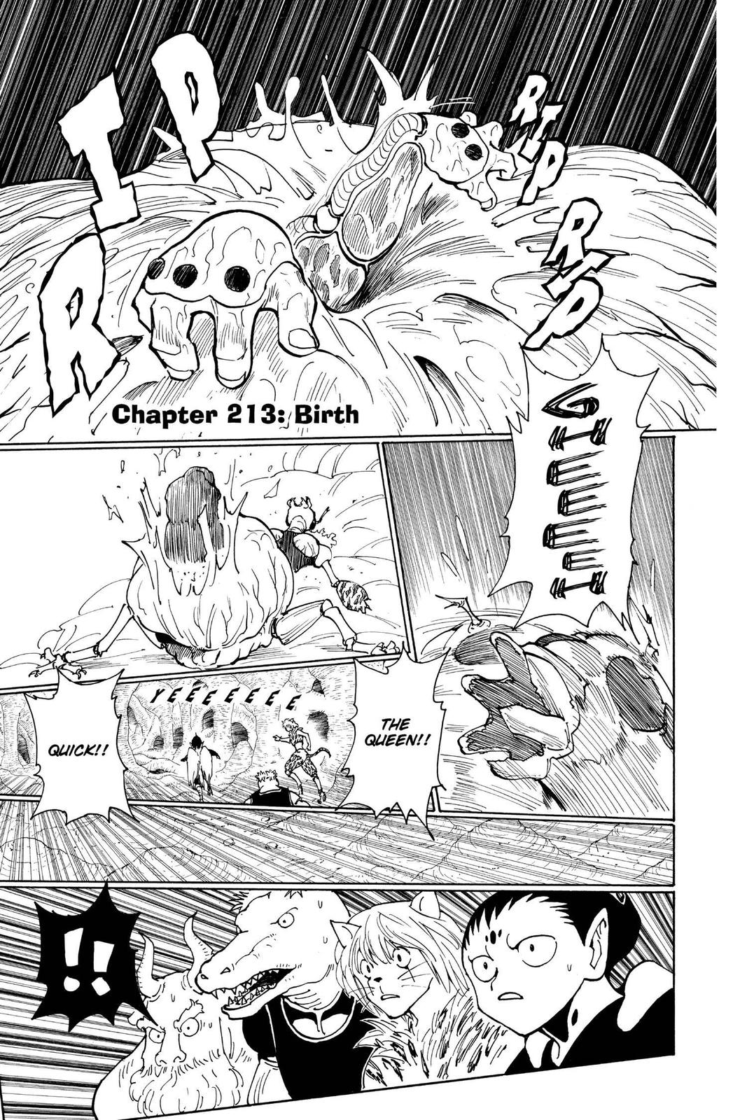 Hunter x Hunter Chap 213 - Next Chap 214