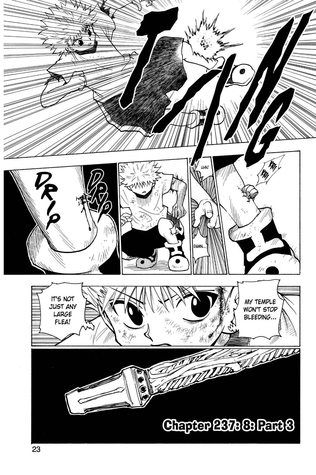 Hunter x Hunter Chap 237 - Next Chap 238