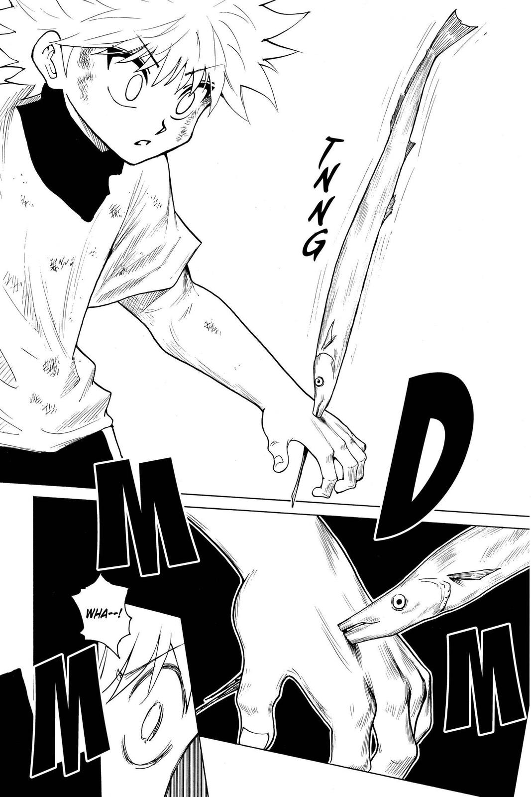 Hunter x Hunter Chap 239 - Next Chap 240