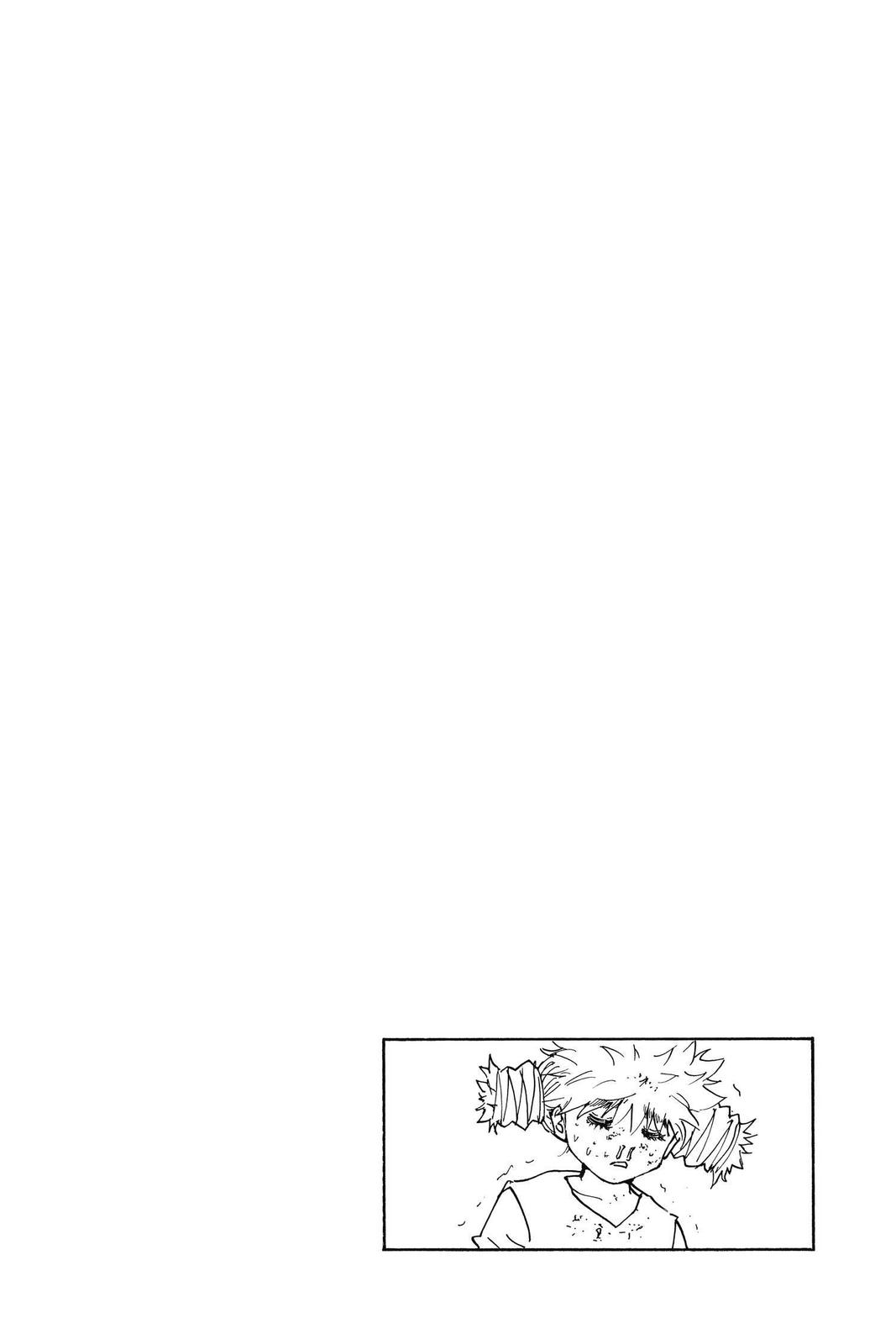 Hunter x Hunter Chap 249 - Next Chap 250