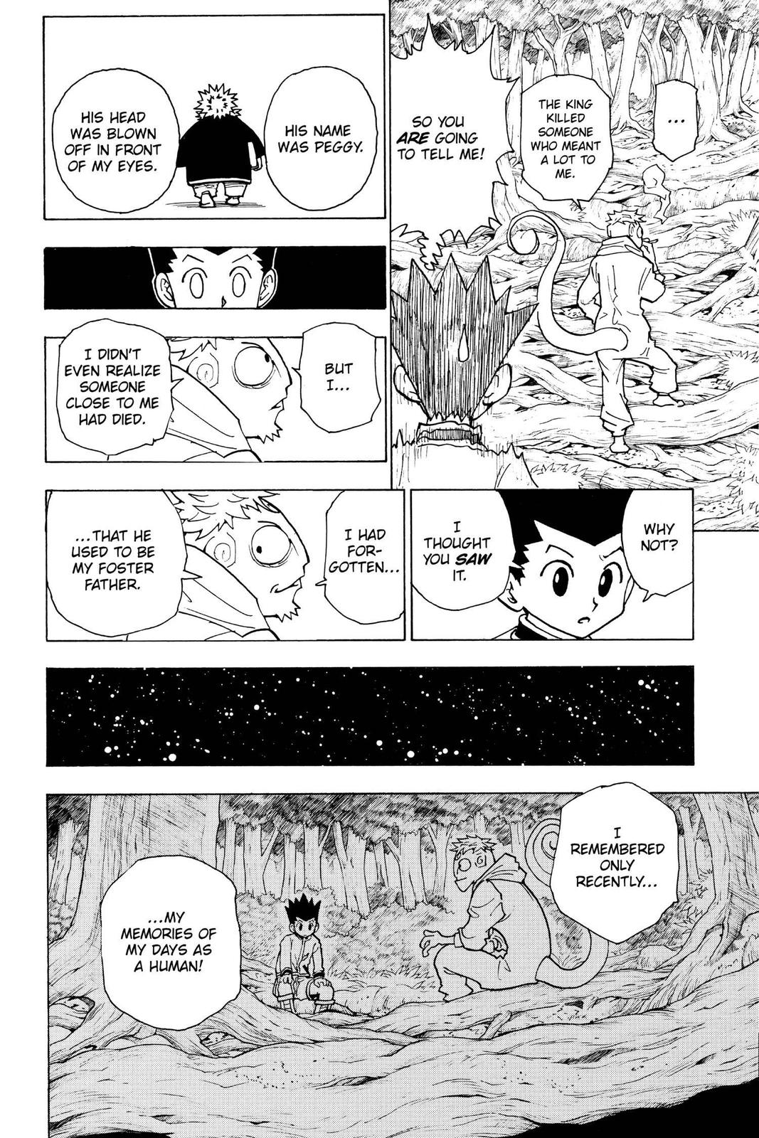 Hunter x Hunter Chap 242 - Next Chap 243