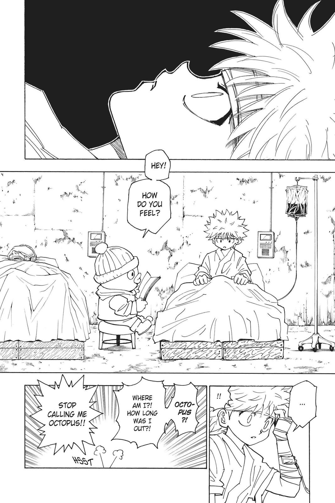 Hunter x Hunter Chap 255 - Next Chap 256