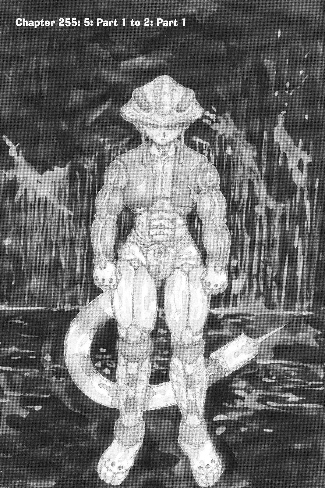 Hunter x Hunter Chap 255 - Next Chap 256