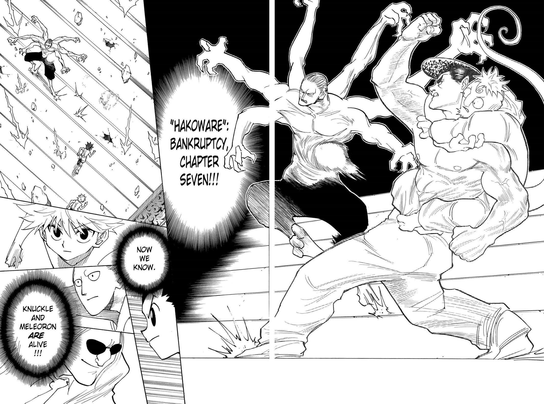 Hunter x Hunter Chap 266 - Next Chap 267