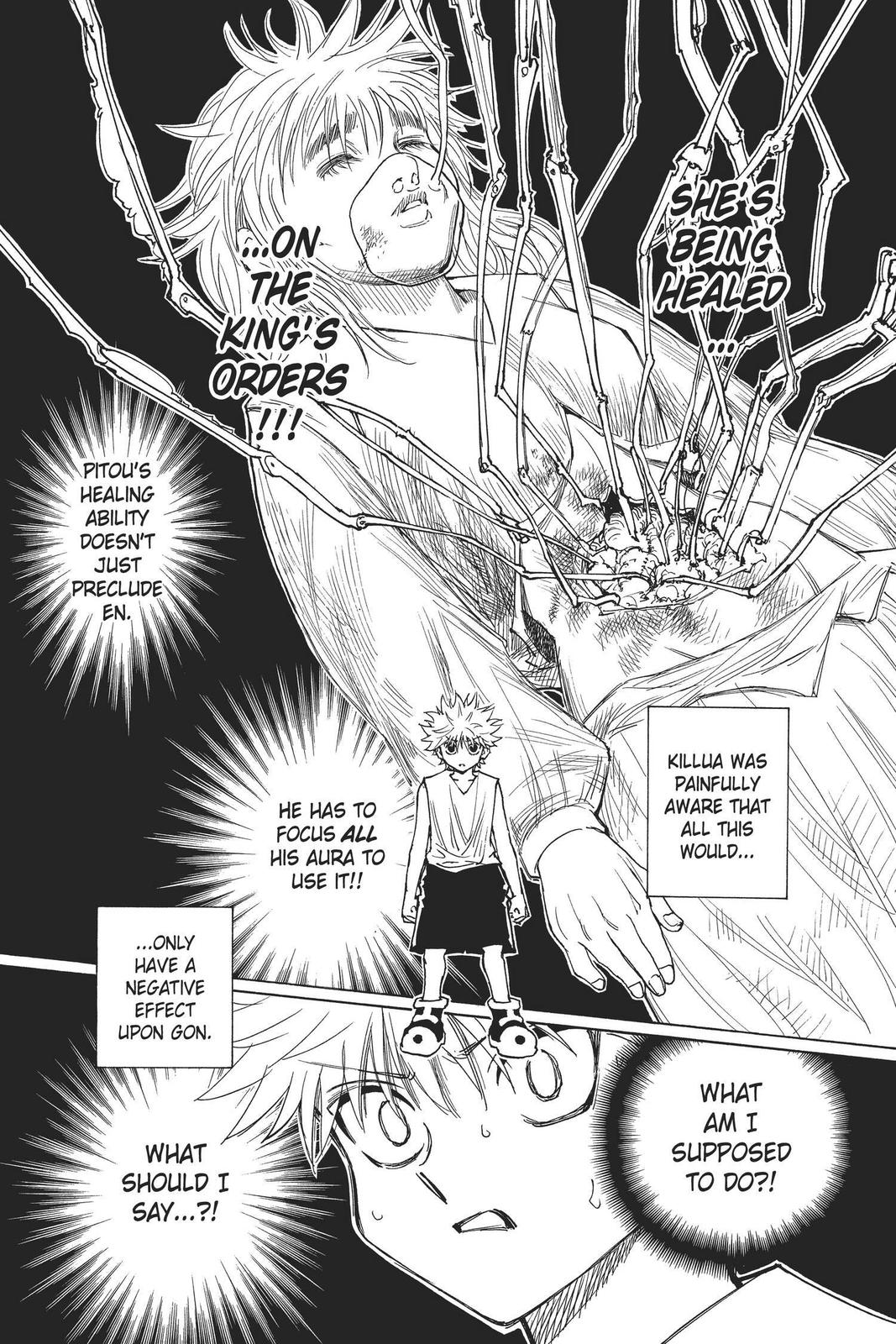 Hunter x Hunter Chap 274 - Next Chap 275