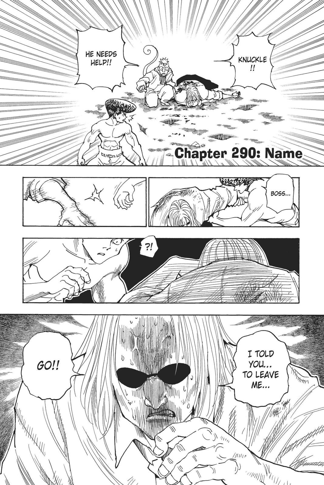 Hunter x Hunter Chap 290 - Next Chap 291