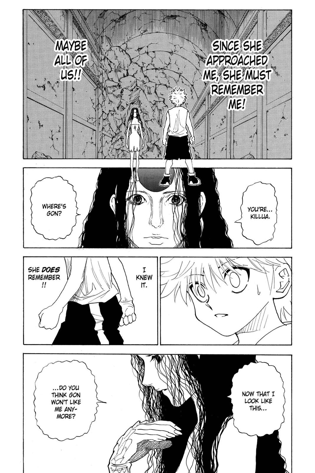 Hunter x Hunter Chap 293 - Next Chap 294