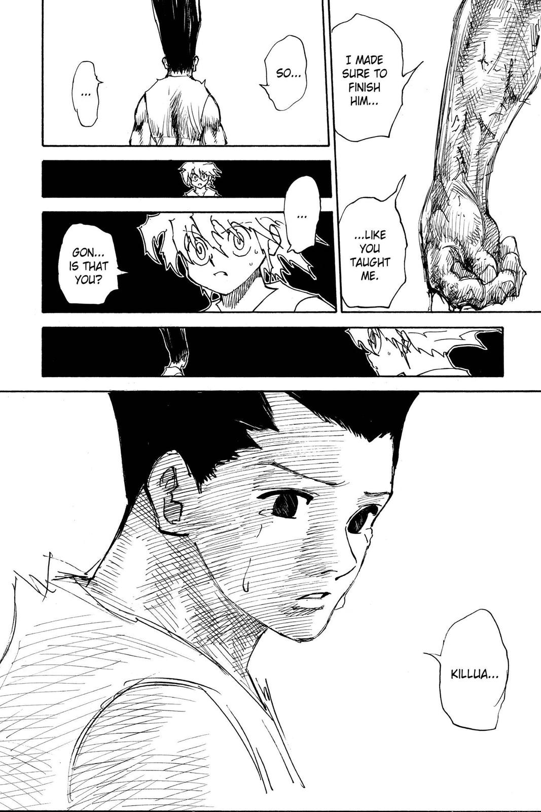 Hunter x Hunter Chap 307 - Next Chap 308