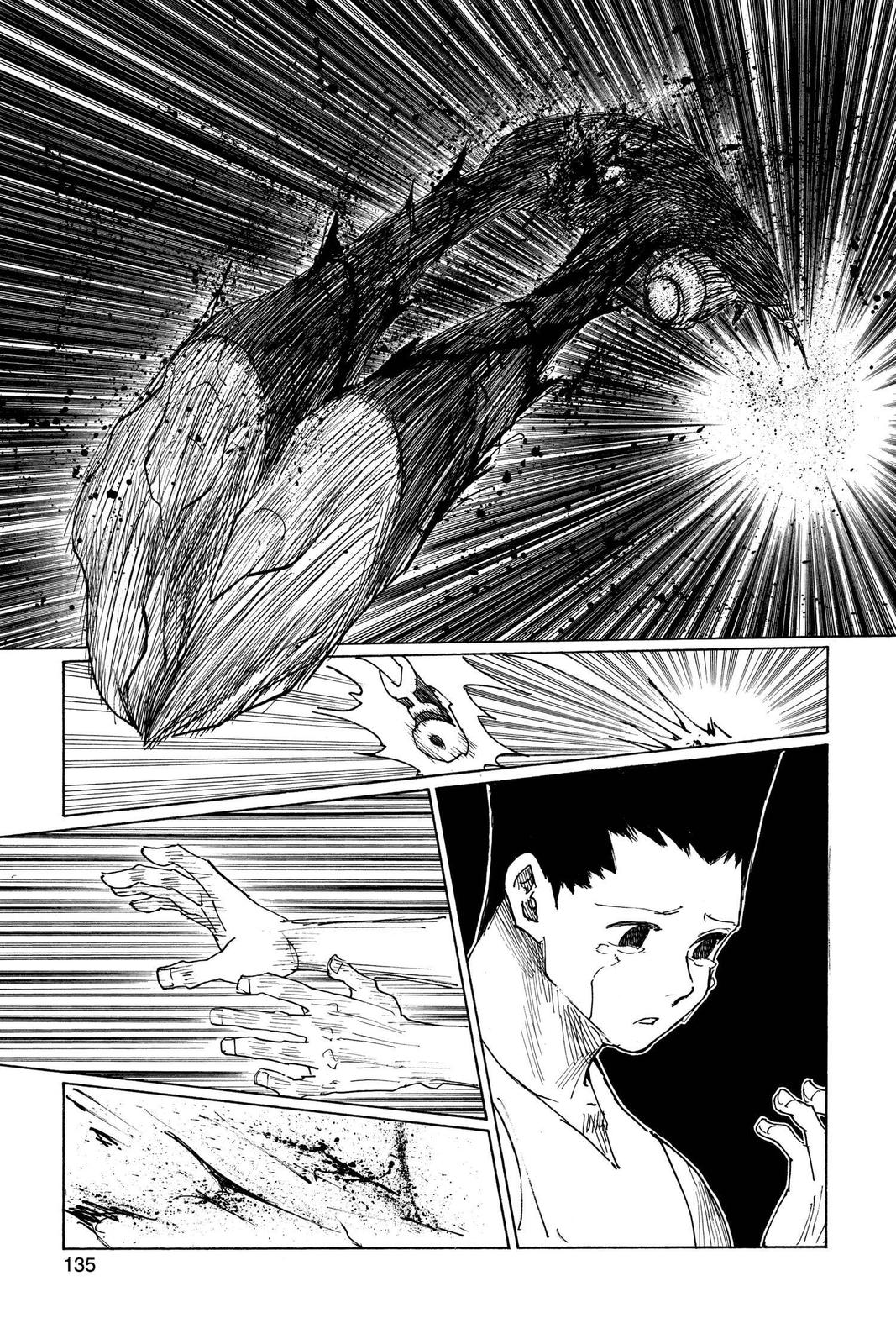 Hunter x Hunter Chap 307 - Next Chap 308