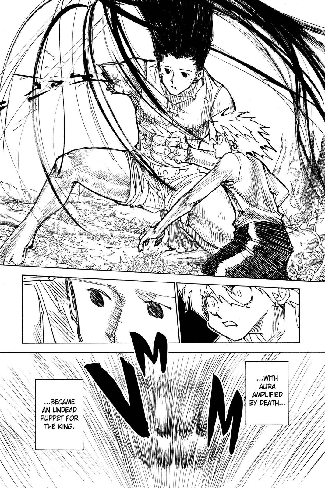Hunter x Hunter Chap 307 - Next Chap 308