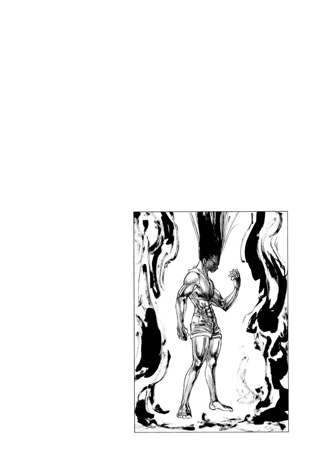 Hunter x Hunter Chap 306 - Next Chap 307